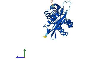 Protein Structure (PS) image for N-Acetyltransferase 8 (NAT8) (AA 1-227) protein (His tag) (ABIN7554689)