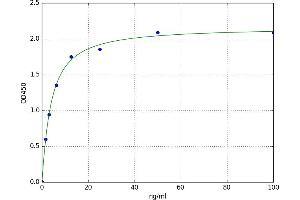 A typical standard curve (Annexin A2 ELISA 试剂盒)