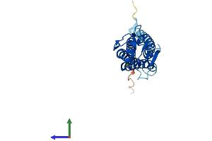 AlphaFold protein structure predicition of Human Recombinant LHFPL5 Protein, UniprotID Q8TAF8