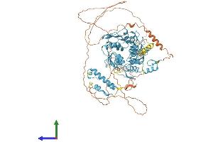 Protein Structure (PS) image for Zinc Finger Protein 786 (ZNF786) (AA 1-782) protein (His tag) (ABIN7545401)