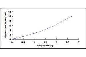 Typical standard curve (Histone H4 ELISA 试剂盒)
