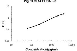 Pig CXCL14 PicoKine ELISA Kit standard curve