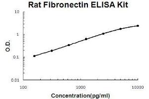 Rat Fibronectin PicoKine ELISA Kit standard curve (Fibronectin 1 ELISA 试剂盒)
