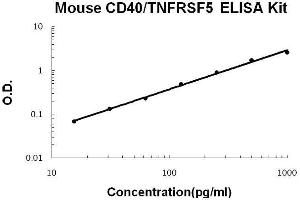 Mouse CD40/TNFRSF5 PicoKine ELISA Kit standard curve (CD40 ELISA 试剂盒)
