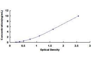 Prohibitin (PHB) ELISA Kit
