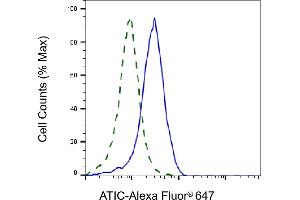 Validation of ATIC knockdown using flow cytometry. (ATIC 抗体)