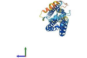 AlphaFold protein structure predicition of Mouse Recombinant Cd37 Protein, UniprotID Q61470