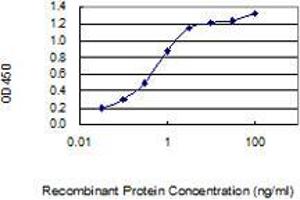 Detection limit for recombinant GST tagged RNF168 is 0.