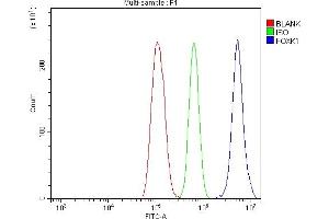 Flow Cytometry analysis of THP-1 cells using anti-FOXK1 antibody (ABIN7600295).