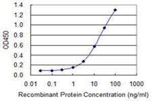 Detection limit for recombinant GST tagged TFDP1 is 0. (DP1 抗体  (AA 112-220))