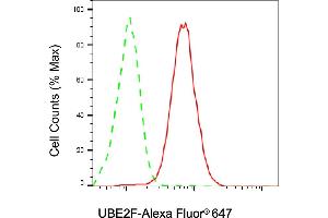 Flow cytometric analysis of UBE2F expression in HAP-1 cells using UBE2F antibody (ABIN7800745), 1:2,000). (Recombinant UBE2F 抗体)
