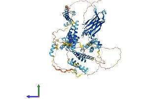 AlphaFold protein structure predicition of Mouse Recombinant Cc2d1a Protein, UniprotID Q8K1A6 (CC2D1A Protein (AA 1-943) (His tag))