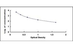 Typical standard curve (beta-Crosslaps (bCTx) ELISA 试剂盒)