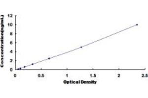 Typical standard curve (Adenosine A2a Receptor ELISA 试剂盒)