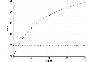 Sulfotransferase Family 1E Member 1 (SULT1E1) ELISA Kit