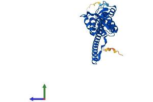 Protein Structure (PS) image for Ribosomal Protein L7 (RPL7) (AA 1-270) protein (His tag) (ABIN7562869)