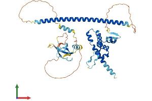 AlphaFold protein structure predicition of Mouse Recombinant Bend5 Protein, UniprotID Q8C6D4