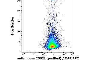 Flow cytometry surface staining pattern of murine splenocytes stained using anti-mouse CD62L (Mel-14) purified antibody (concentration in sample 4 μg/mL, DAR APC). (L-Selectin 抗体)