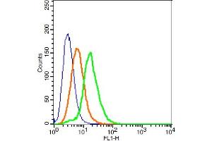 Flow Cytometry (FACS) image for anti-G Protein-Coupled Receptor 78 (GPR78) (AA 201-300) antibody (AbBy Fluor® 488) (ABIN899576)