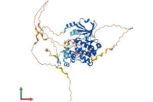 Protein Structure (PS) image for PAK3 (PAK3) (AA 1-559) protein (His tag) (ABIN7554851)