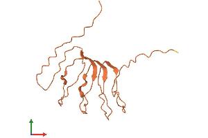 AlphaFold protein structure predicition of Human Recombinant PLAC4 Protein, UniprotID Q8WY50