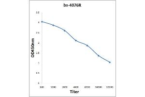 Antigen: 0. (E2F1 抗体  (pSer364))
