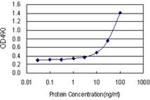 Sandwich ELISA detection sensitivity ranging from 3 ng/mL to 100 ng/mL. (IGFBP2 (人) Matched Antibody Pair)