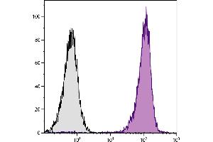 Human peripheral blood granulocytes were stained with Mouse Anti-Human CD11b-APC. (CD11b 抗体  (APC))