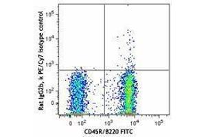Flow Cytometry (FACS) image for anti-Chemokine (C-X-C Motif) Receptor 5 (CXCR5) antibody (PE-Cy7) (ABIN2659140) (CXCR5 抗体  (PE-Cy7))