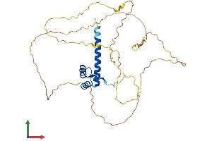 Protein Structure (PS) image for Homeobox D10 (HOXD10) (AA 1-340) protein (His tag) (ABIN7563048)
