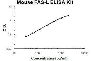 Mouse FASL PicoKine ELISA Kit standard curve (FASL ELISA 试剂盒)
