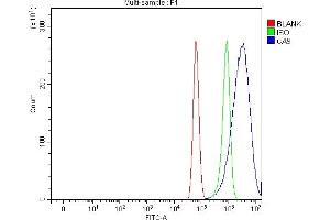 Flow Cytometry analysis of U87 cells using anti-Carbonic Anhydrase 9/CA9 antibody (ABIN7600076). (CA9 抗体  (AA 146-414))