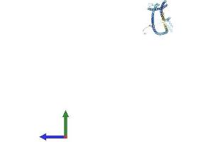 Protein Structure (PS) image for NDC80 Kinetochore Complex Component Homolog (NDC80) (AA 1-642) protein (His tag) (ABIN7564969)