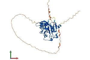 Protein Structure (PS) image for N-Methylpurine-DNA Glycosylase (MPG) (AA 1-333) protein (His tag) (ABIN7556887)