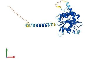 Protein Structure (PS) image for Signal Recognition Particle Receptor, B Subunit (SRPRB) (AA 1-271) protein (His tag) (ABIN7546441)