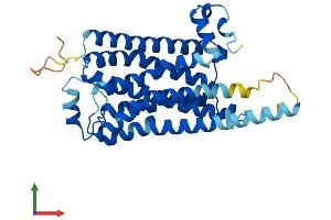 Protein Structure (PS) image for Trace Amine Associated Receptor 1 (TAAR1) (AA 1-332) protein (His tag) (ABIN7564860)