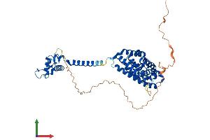 Protein Structure (PS) image for Thyroid Hormone Receptor, beta (THRB) (AA 1-461) protein (His tag) (ABIN7563200)