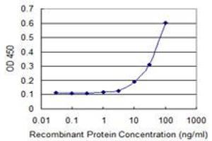 Detection limit for recombinant GST tagged CDKL3 is 3 ng/ml as a capture antibody. (CDKL3 抗体  (AA 322-420))