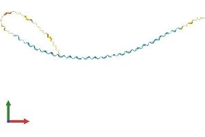 Protein Structure (PS) image for Small Proline Rich Protein 1A (SPRR1A) (AA 1-144) protein (His tag) (ABIN7557775)
