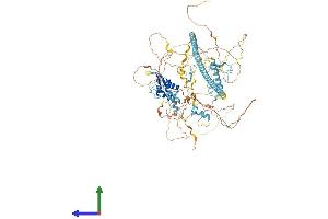 AlphaFold protein structure predicition of Mouse Recombinant Chaf1a Protein, UniprotID Q9QWF0 (CHAF1A Protein (AA 1-911) (His tag))