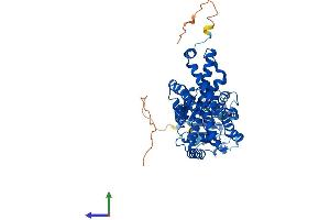 AlphaFold protein structure predicition of Human Recombinant STEAP2 Protein, UniprotID Q8NFT2