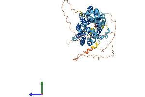 Protein Structure (PS) image for Solute Carrier Family 2 (Facilitated Glucose Transporter), Member 12 (SLC2A12) (AA 1-622) protein (His tag) (ABIN7558502)