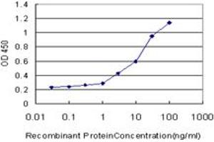 Detection limit for recombinant GST tagged TEK is approximately 0. (TEK 抗体  (AA 701-800))