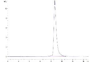 The purity of Cynomolgus uPAR is greater than 95 % as determined by SEC-HPLC. (PLAUR Protein (AA 23-305) (His tag))