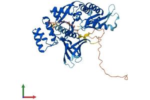 Protein Structure (PS) image for Sorting Nexin 31 (SNX31) (AA 1-440) protein (His tag) (ABIN7546074)