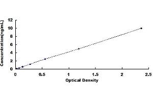 Typical standard curve (GBP1 ELISA 试剂盒)