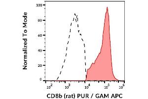 Surface staining of rat splenocytes using anti-CD8b (341) purified, GAM-APC. (CD8B 抗体)