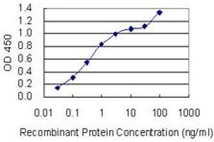 Detection limit for recombinant GST tagged SGCD is 0. (SGCD 抗体  (AA 114-189))