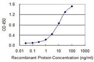 Detection limit for recombinant GST tagged FIS1 is 0. (Fission 1 抗体  (AA 1-100))