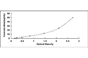 Typical standard curve (SLC2A3 ELISA 试剂盒)